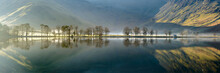Buttermere Trees Pano