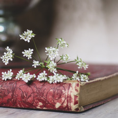 Wall Mural - White Spring bouquet