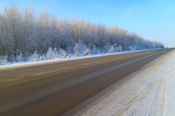 snow and frost winter time in a deciduous forest along which passes a diagonal road from asphalt