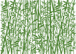 Bamboo, Decorative green  background.
Stylized Illustration of green bamboo decorative background.Vector available. 
