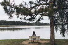 Rear View Of Woman Sitting On Bench By Lake At Park