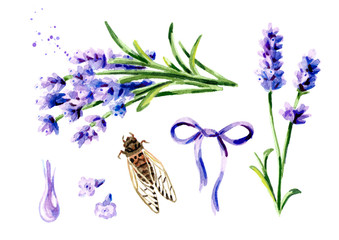 Wall Mural - Lavender summer set. Watercolor hand drawn vertical illustration, isolated on white background