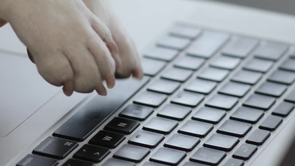 Close up paws of the dog typing text on a laptop animal business computer border house internet office technology puppy cute funny keyboard pet screen notebook