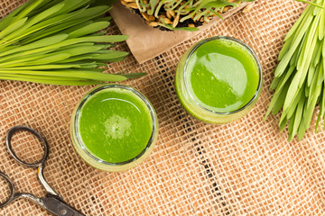 Two shots of barley grass juice with freshly harvested barley grass