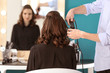 © Africa Studio - Professional hairdresser working with client in salon