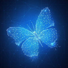Poster - polygon butterfly on blockchain technology network hud background. abstract polygonal geometric butt