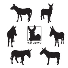 Donkey - Black Silhouettes Isolated On White Background.
Set Of Vector Illustrations Of Cute Farm Animal Together With A Large Raster Image.