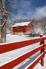 Wall Mural - Agriculture and rural life at winter background.Rural landscape with red barns, wooden red fence and trees covered by fresh snow in sunlight. Scenic winter view at Wisconsin, Midwest USA, Madison area