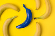Yellow bananas and one blue on the yellow background