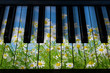 Piano keys in the decor of spring and flowers