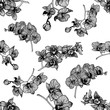 Seamless pattern of hand drawn sketch style orchid flowers isolated on white background. Vector illustration.