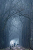 Fototapeta  - People walking dog in sandy path in foggy winter forest.