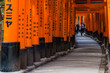 KYOTO, JAPAN - March 24, 2017 : Red Torii gates in Fushimi Inari shrine, one of famous landmarks in Kyoto, Japan.