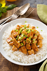 Wall Mural - Sweet and sour chicken with rice