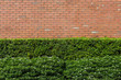 Closeup brick pattern at the brown brick wall.Leaf wall orange brick.