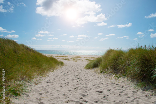 Naklejka morze Bałtyk  szlak-miedzy-porosnietymi-trawa-wydmami-do-pustej-piaszczystej-plazy-w-sloneczny-letni-dzien