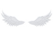 white angel wings isolated on a white background 3d rendering