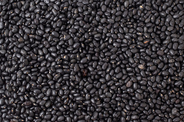 Wall Mural - Black raw beans, ingredient of brazilian feijoada.