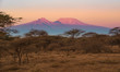 Kilimanjaro im Morgenlicht