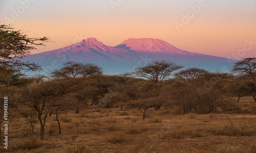 Kilimanjaro im Morgenlicht © Martina Schikore
