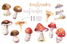Watercolor Bohemian Forest Mushrooms Poster, Woodland Isolated Amanita Illustration, Fly Agaric, Boletus, Orange-cap Boletus Mushroom Decoration.