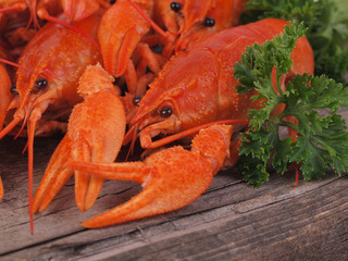 Canvas Print - Fresh crayfish