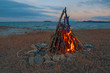 fire burning on the beach at night. bright fire, firewood.