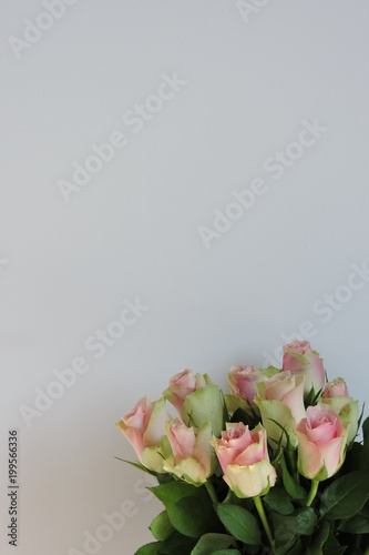 Plakat Bukiet różowe i żółte róże, biały tło