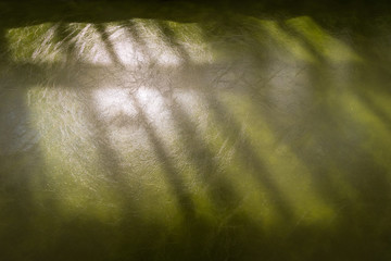 Poster - Dark green leather texture background. Artificial skin material.