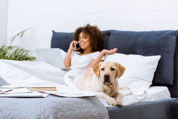 Wall Mural - labrador dog lying on bed while woman working with laptop and talking by phone at home