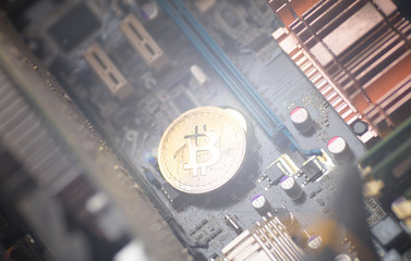 Aufkleber - Bitcoin. Gold Bitcoin electronic computer processor board.
