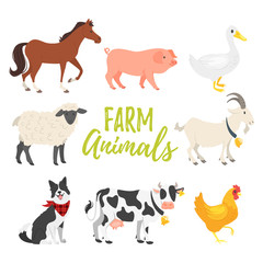 Canvas Print - set of farm animals