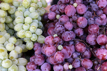 White (green) and dark (blue) grapes, grapes background for eat or wine. Two colors grapes. Fruit pattern texture. Sweet grapes.  fresh organic fruit grape wallpaper. 