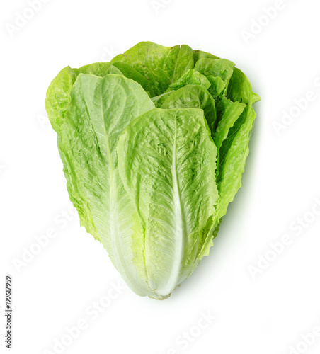 Fotografía Fresh Romain Lettuce isolated on white background.