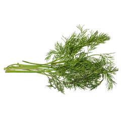 Dill green seasoning