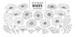 Set of isolated daisy in 24 styles.