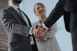 © ASDF - closeup of handshake of business partners
