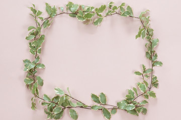 Wall Mural - Top view and flat lay of green leaves frame on white pink background.