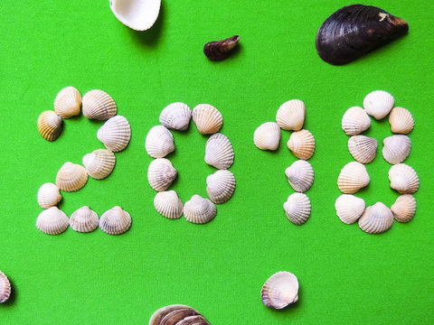 Year laid out of seashells on a green background. The concept of travel, tourism