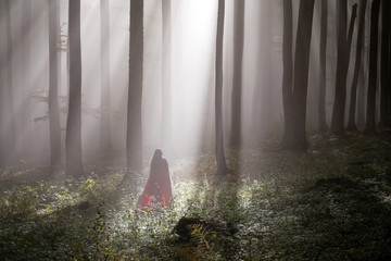 Red Riding Hood portrait in the autumn foggy forest