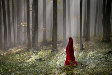 Red Riding Hood portrait in the autumn foggy forest