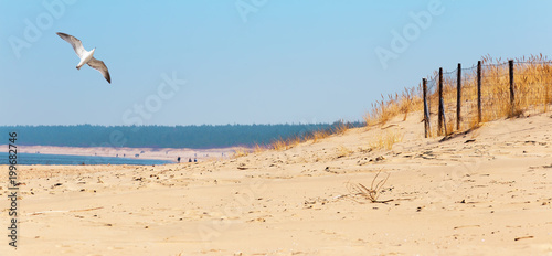 Baltic sea beach, Baltic coast photo. Fototapeta