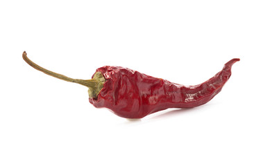 Poster - dried pepper chili on white background