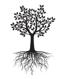 Fototapeta  - Black Tree with Leaves and Roots. Vector Illustration and graphic element.