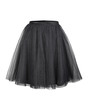 Black tulle ballerina skirt isolated on white