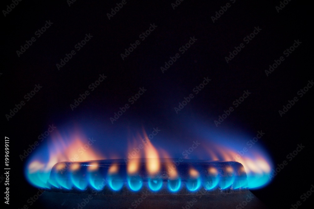 orange tongues of blue flame of a gas burner1 - obrazy, fototapety, plakaty 