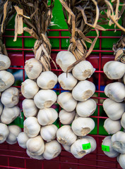 Wall Mural - fresh bulbs of garlic
