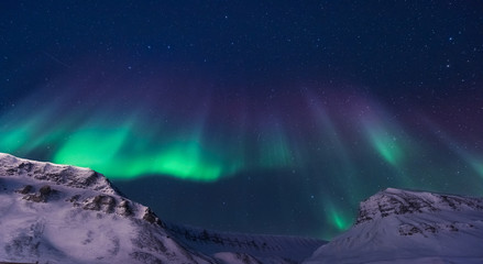 Wall Mural - the polar arctic northern lights aurora borealis sky star in norway svalbard in longyearbyen city ma