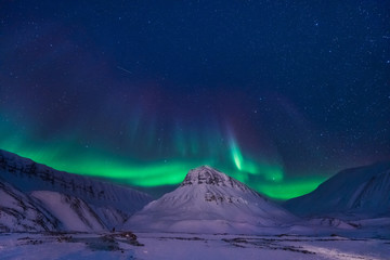Wall Mural - the polar arctic northern lights aurora borealis sky star in norway svalbard in longyearbyen city ma
