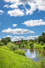 Wall Mural - summer landscape with forest and river